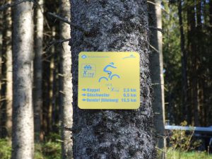 Radfahren im Schwarzwald