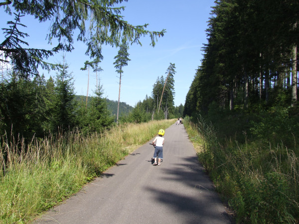 Radfahren im Schwarzwald