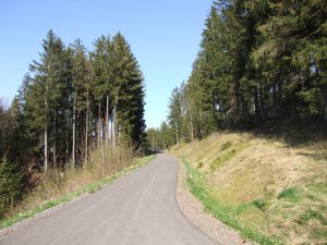 Radfahren im Schwarzwald