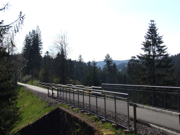Radfahren im Schwarzwald