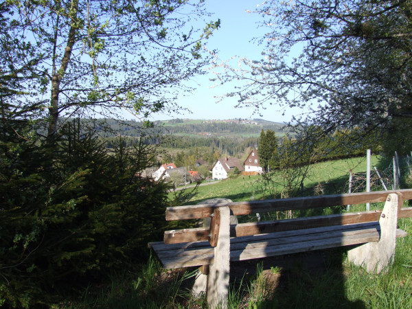 Radfahren im Schwarzwald