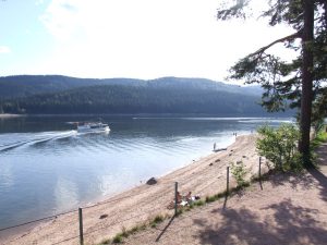 Radfahren im Schwarzwald
