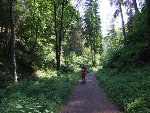 Wandern im Schwarzwald