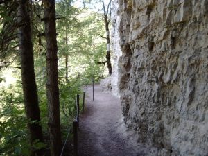 Wandern im Schwarzwald