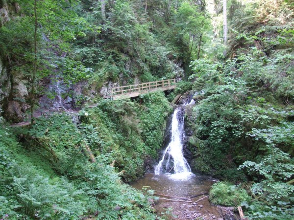 Wandern im Schwarzwald