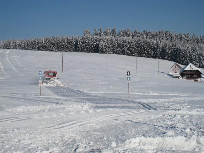 Wintersport im Schwarzwald