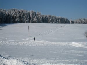 Wintersport im Schwarzwald