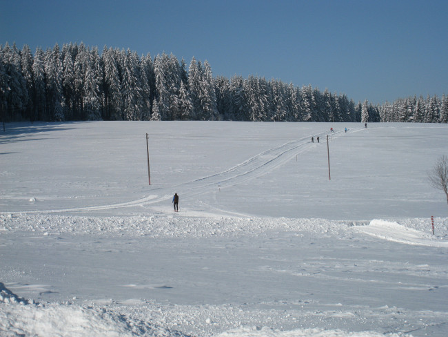 Wintersport im Schwarzwald