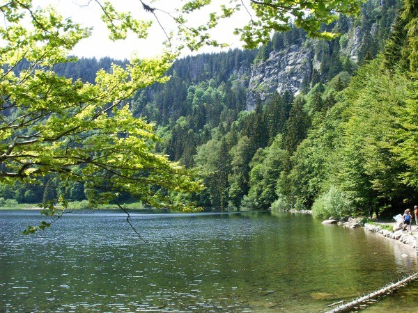 Feldsee