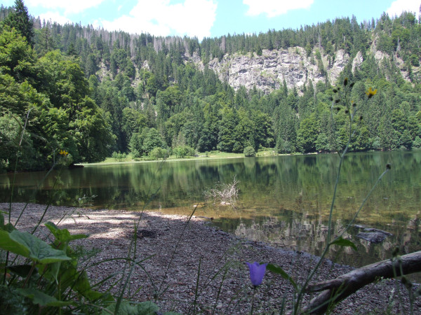 Feldsee
